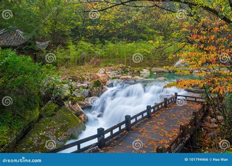 ShenNongJia xiangxiyuan stock photo. Image of protection - 101794466