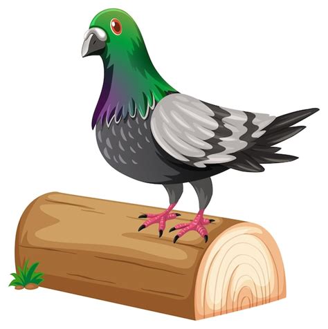 Cartoon Pigeon Images - Free Download on Freepik