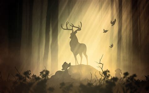 1920x1200 Deer Fantasy Forest 1080P Resolution ,HD 4k Wallpapers,Images,Backgrounds,Photos and ...