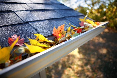 Why You Should Think About Your Gutters Before Fall