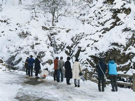 Winter Only From Nozawa Onsen: Snow Monkeys, Zenko-ji & Sake