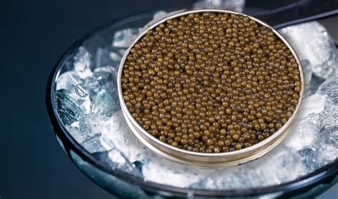 5 facts about Sturgeon Caviar you should know