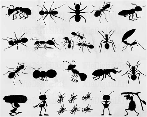 Ant Svg Ant Silhouette Ant Svg Bundle Ant Svg Design Ant Cut File Ant ...