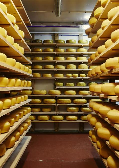 Top Welsh cheeses to try and to buy | Food and Drink | Visit Wales