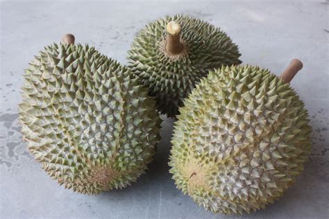 Malaysia Durian: Malaysia Durian