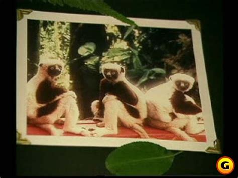 Zoboomafoo - Zoboomafoo Photo (916352) - Fanpop