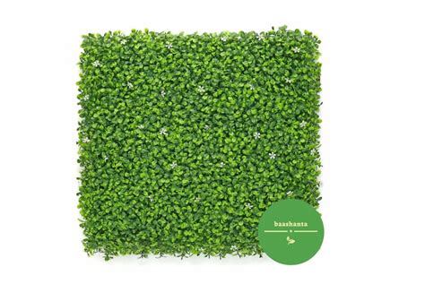 Green Wall Vertical Garden at Rs 750/piece | Surat | ID: 2850525754062