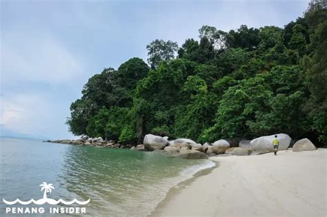 Monkey Beach Penang 2024 Visitor Guide - Penang Insider