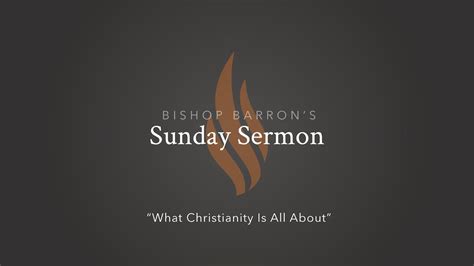 What Christianity Is All About — Bishop Barron’s Sunday Sermon - YouTube