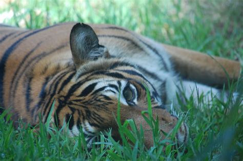 World Wildlife Conservation Day - Virginia Zoo in Norfolk