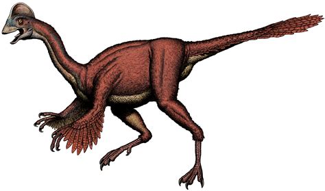 New Chicken from Hell feathered dinosaur found in Dakotas | Earth ...