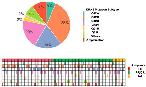 Cancers | Free Full-Text | Clinical and Molecular Features of KRAS ...