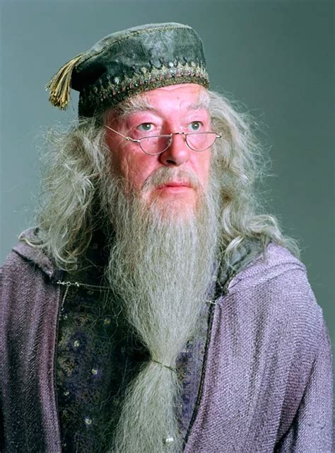 Portrait of Albus Dumbledore — Harry Potter Fan Zone