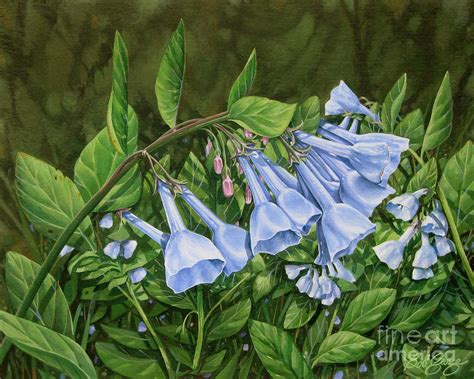 Virginia Bluebells Painting by Bob George - Fine Art America