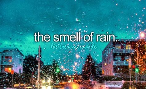 The Smell of Rain - Zigya