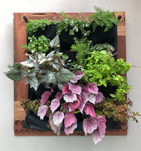 12 Pocket Indoor Waterproof Vertical Living Wall Planter