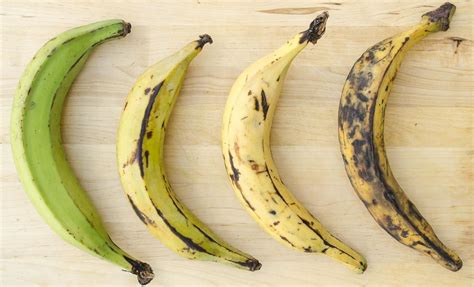 Everything You Need to Know About Cooking with Plantains « Food Hacks :: WonderHowTo