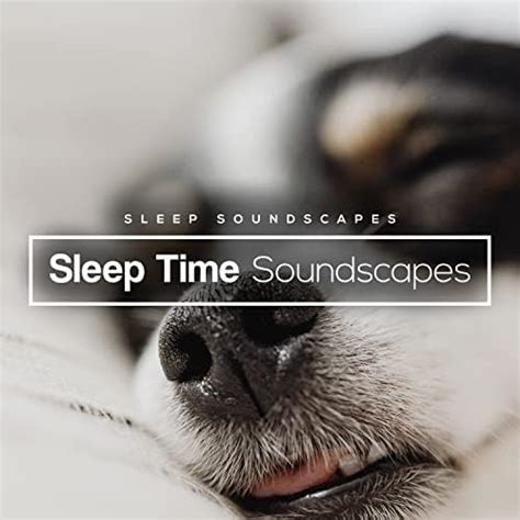 Sleep Time Soundscapes von Sleep Soundscapes bei Amazon Music - Amazon.de