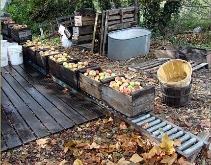 Oak Glen Day Trip U-Pick Apple Orchards Things To Do | Apple picking, U pick apples, Oak glen ...