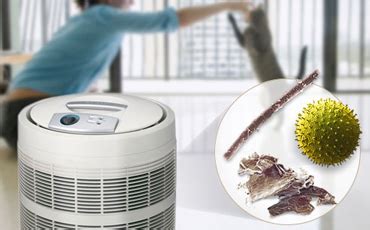 8 Best Air Purifiers for Allergies – (Reviews & Buying Guide 2021)