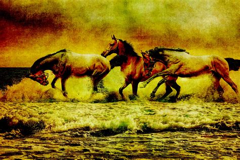 Horses Vintage Painting Free Stock Photo - Public Domain Pictures