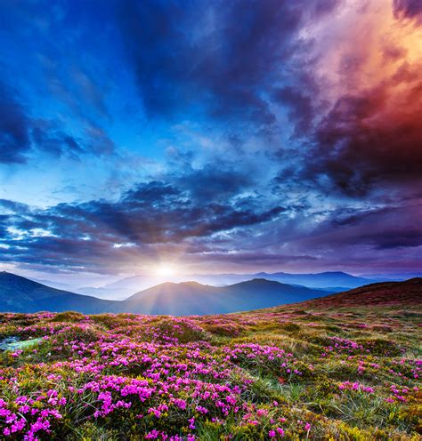 Majestic sunset in the mountains landscape. by macinivnw on DeviantArt