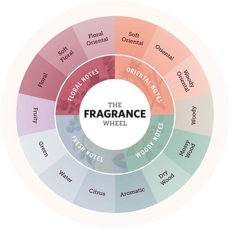 Your Guide to the Fragrance Wheel and Scent Families | Fragrance, Woody perfume, Grapefruit ...