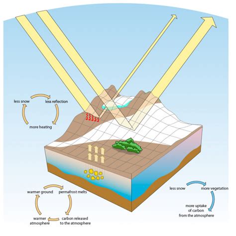 Albedo effect – Norsk Polarinstitutt