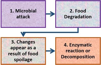 Microbial Food Spoilage - Definition, Causes, Microorganisms Involved ...