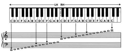 6 Answers - Why are the notes on the bass clef staff different spacing and notes to treble clef ...