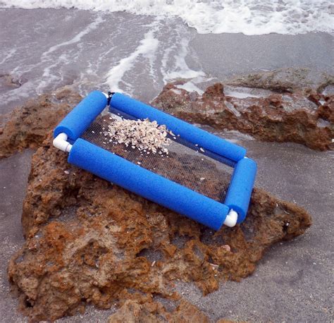 Southwest Florida Shoreline Studies: Hunting for sharks' teeth at Caspersen Beach