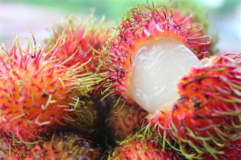 Rambutan Fruit: food from The Philippines