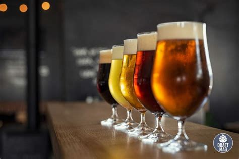 Italian Beer: A Complete Guide To Choosing the Top-rated Brews