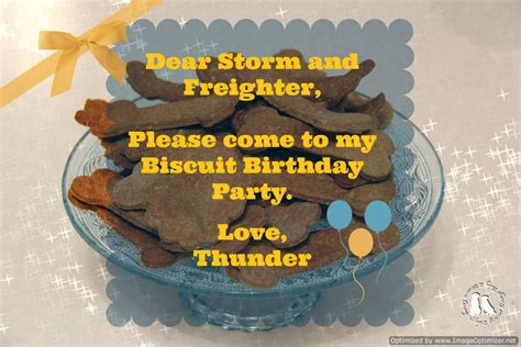 Thursday Barks And Bytes-Biscuit Birthday Party - 2 Brown Dawgs Blog