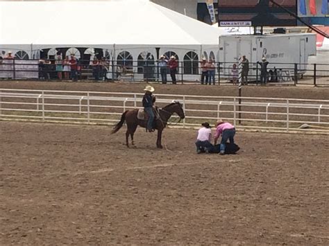 a person on a horse in an arena with other people around the fence and horses