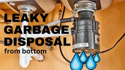 Garbage Disposal Leaking from Bottom: Quick Fix Solutions! - Disposal Guide