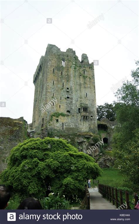 Blarney Castle, Ireland Stock Photo - Alamy