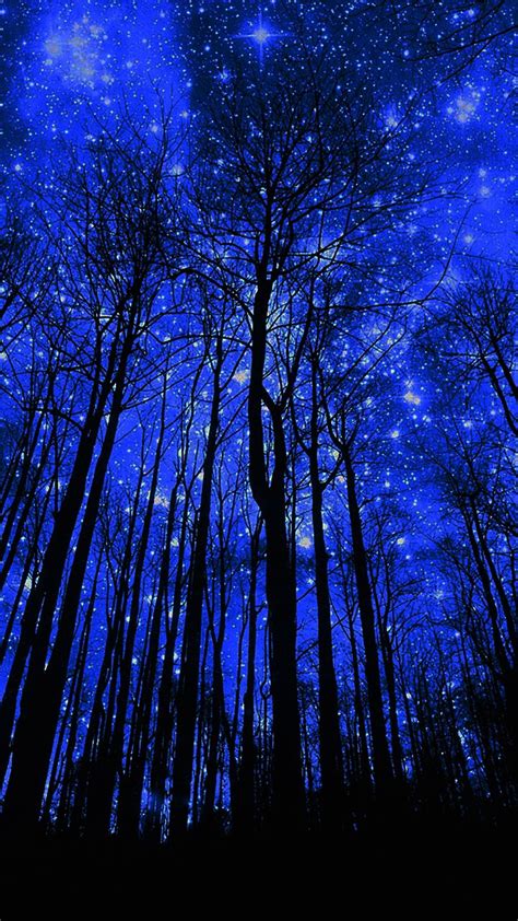 🔥 Free download Starry Night Forest Wallpaper Telefon duvar katlar ...