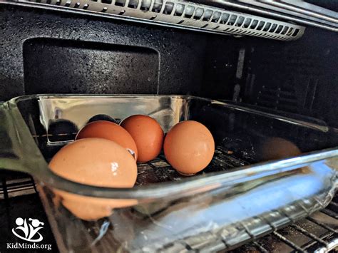 How to Grow an Awesome Plant Inside an Eggshell | KidMinds