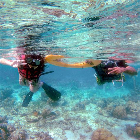 Snorkeling Nalusuan Island | Island tour, Family explore, Island