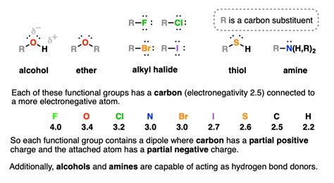 Polarity Of Functional Groups Chart