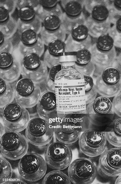 1,653 Swine Flu Vaccine Stock Photos, High-Res Pictures, and Images ...