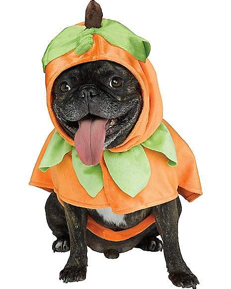 Pumpkin Pet Costume - Spirithalloween.com