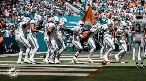 Miami Dolphins Top Celebrations Through Week 9