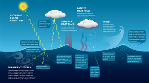 What causes ocean waves? - Woods Hole Oceanographic Institution