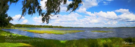 Lake panorama Tsala Apopka Lake is a chain of lakes located within a bend in the Withlacoochee ...