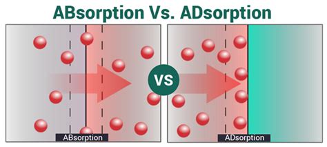 Difference between Adsorption and Absorption with Examples