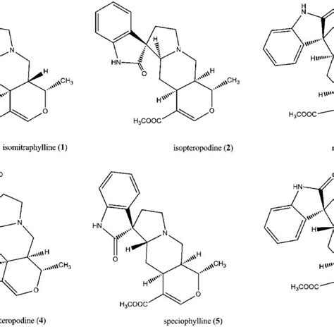 Molecular structures of pentacyclic oxindole alkaloids of U. tomentosa ...