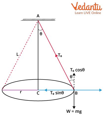 Conical Pendulum Important Concepts and Tips for JEE