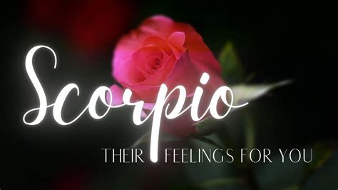 SCORPIO LOVE TODAY - THIS IS HOW THEY FEEL, AND THEIR TRUE INTENTIONS🌹 ...